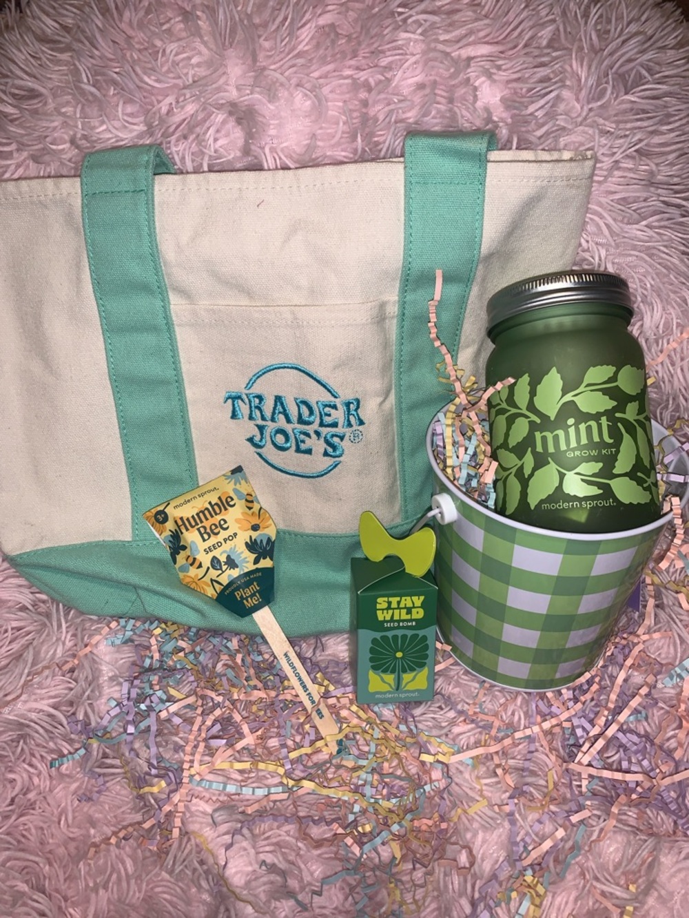 Trader Joe's Canvas Tote with Mint Grow Kit seed pop and seed ball